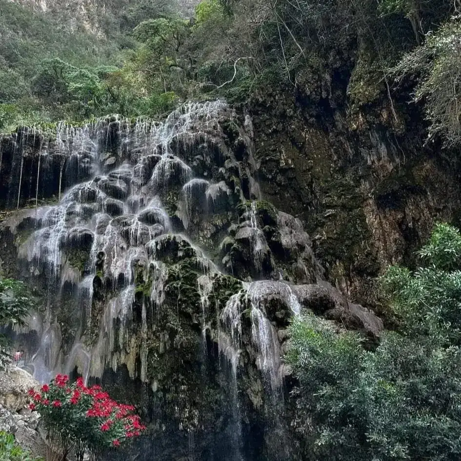 TOLANTONGO  3