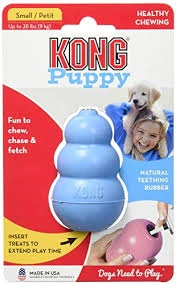 Kong puppy small Celeste
