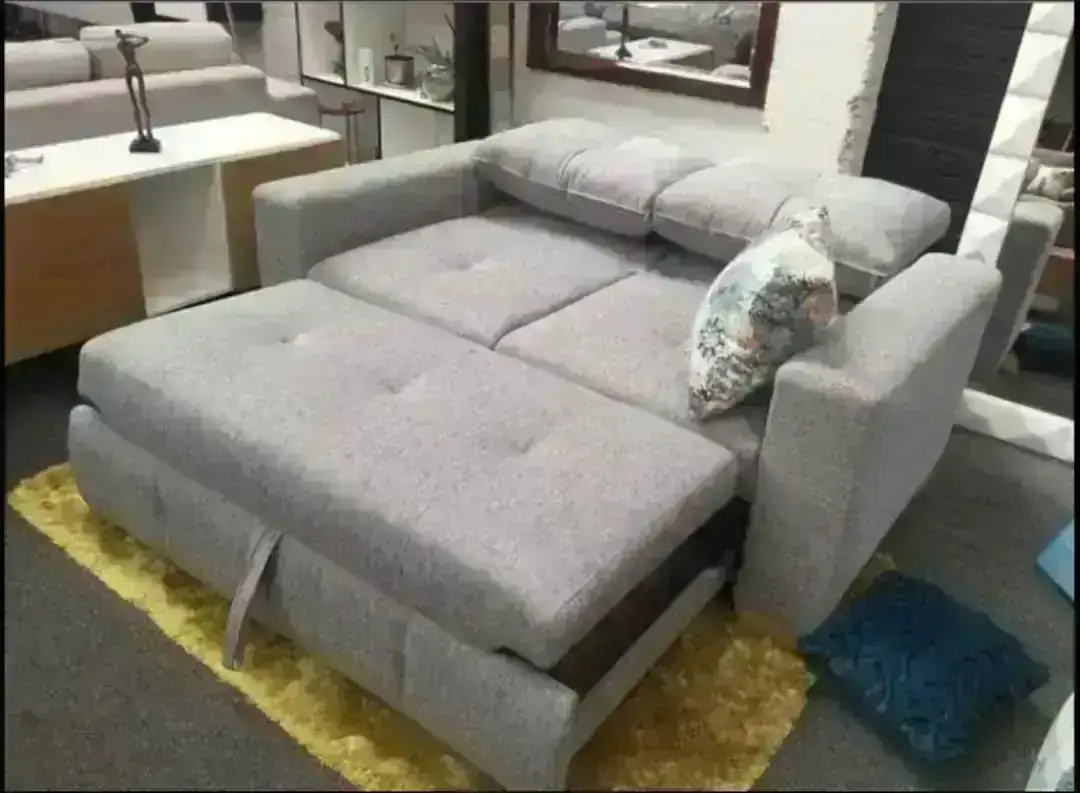 Sofacama Carro Exclusivo  2