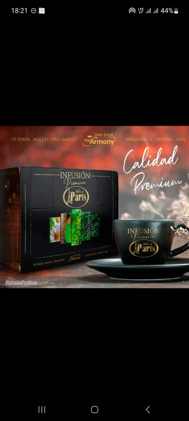 INFUSIÓN MATE PARÍS