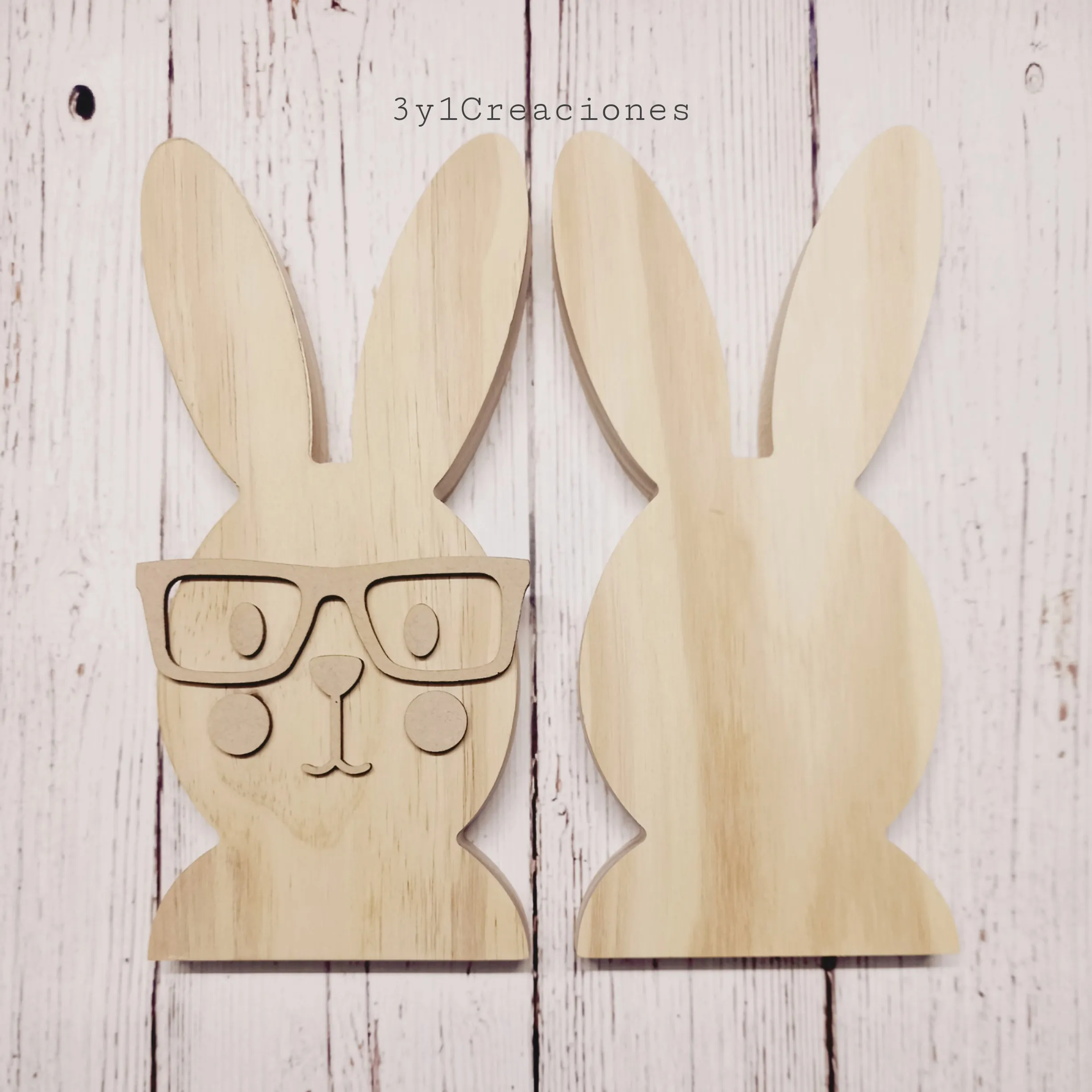 CONEJO CON LENTES 2