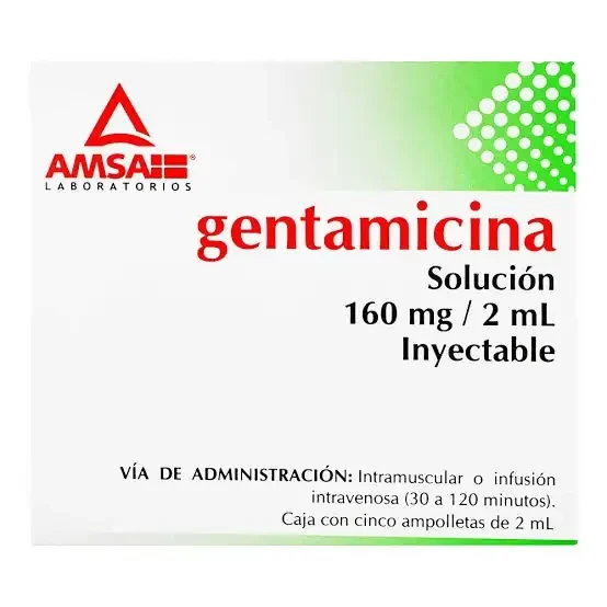 Gentamicina (AMSA)