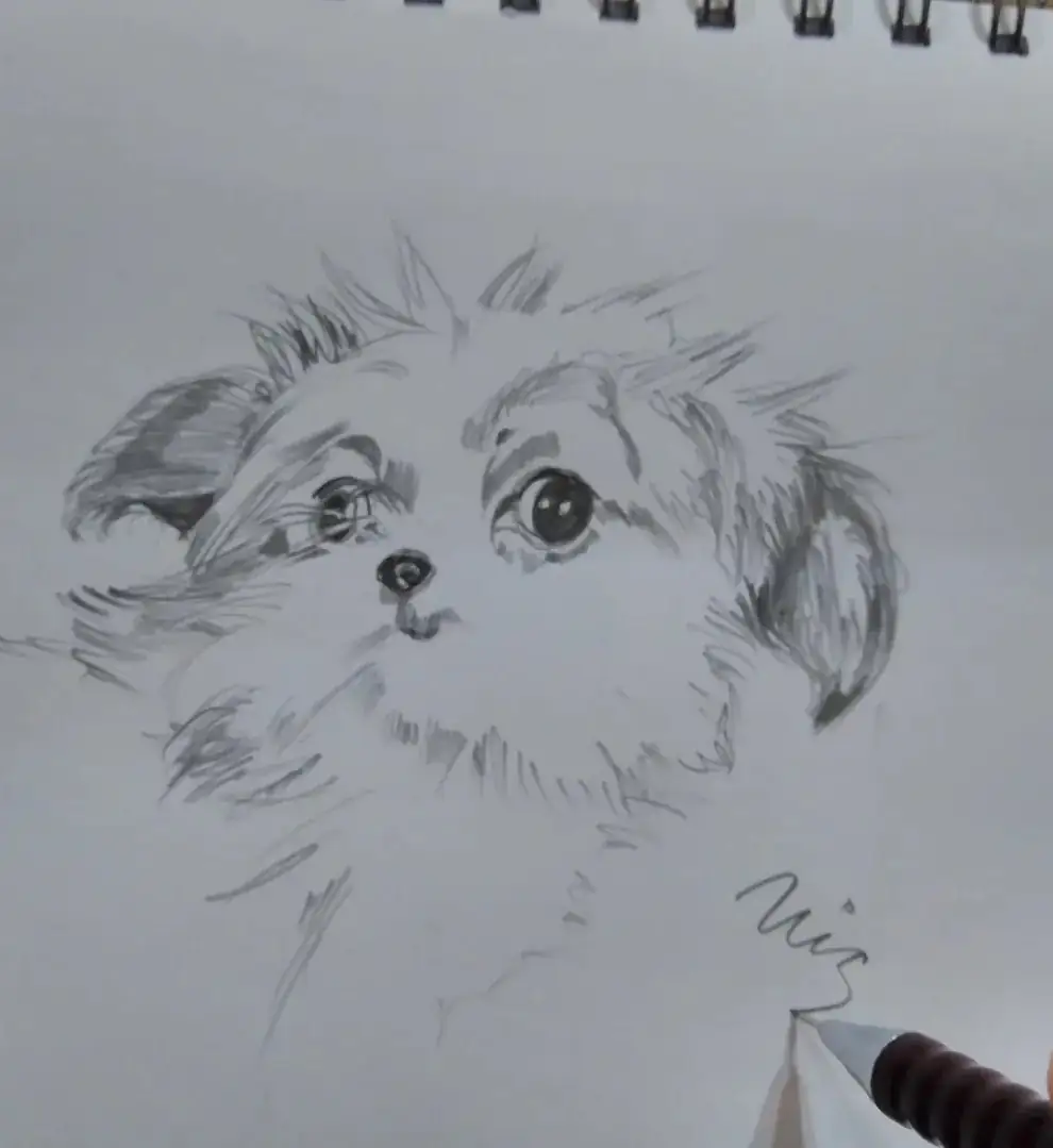" TU MASCOTA " 2