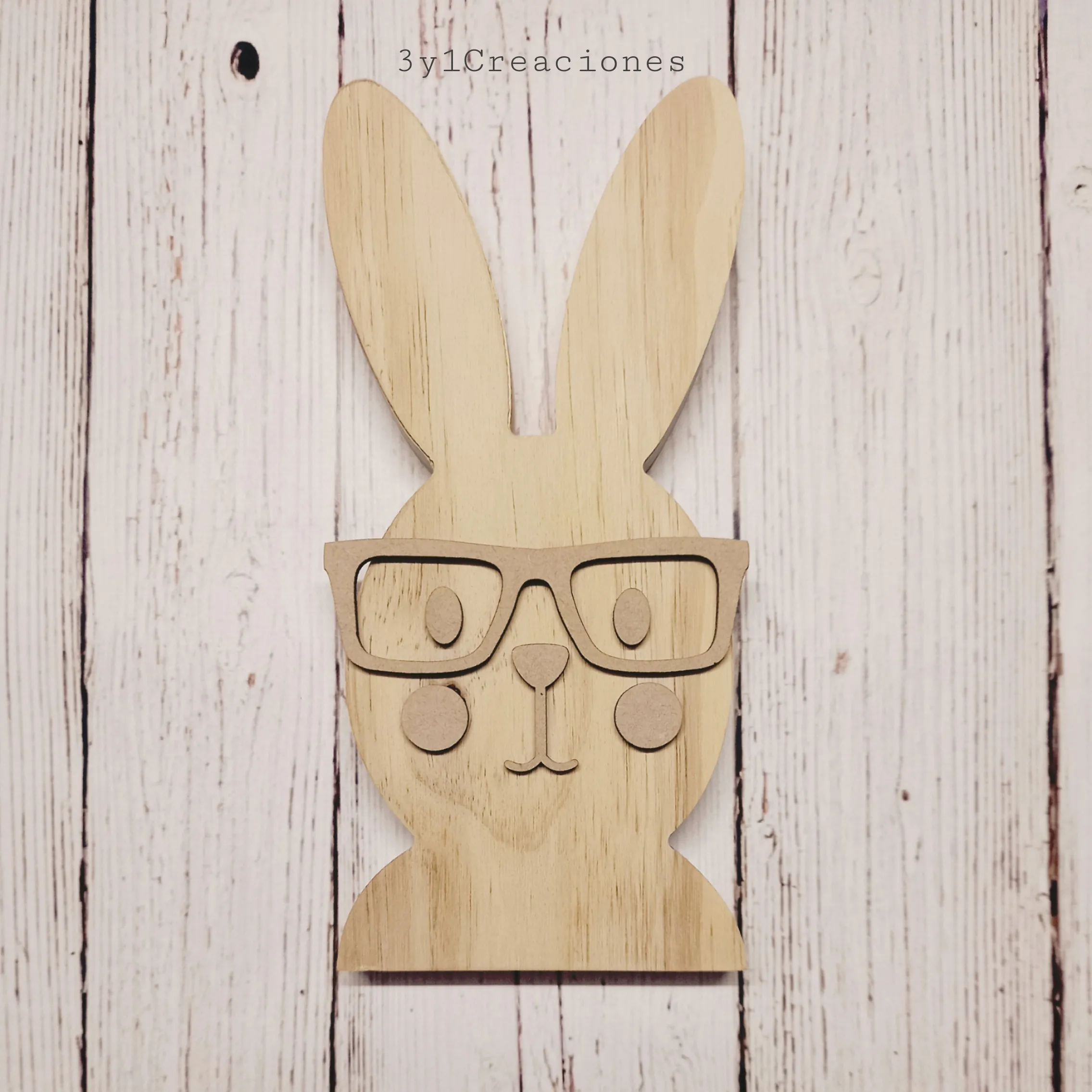 CONEJO CON LENTES