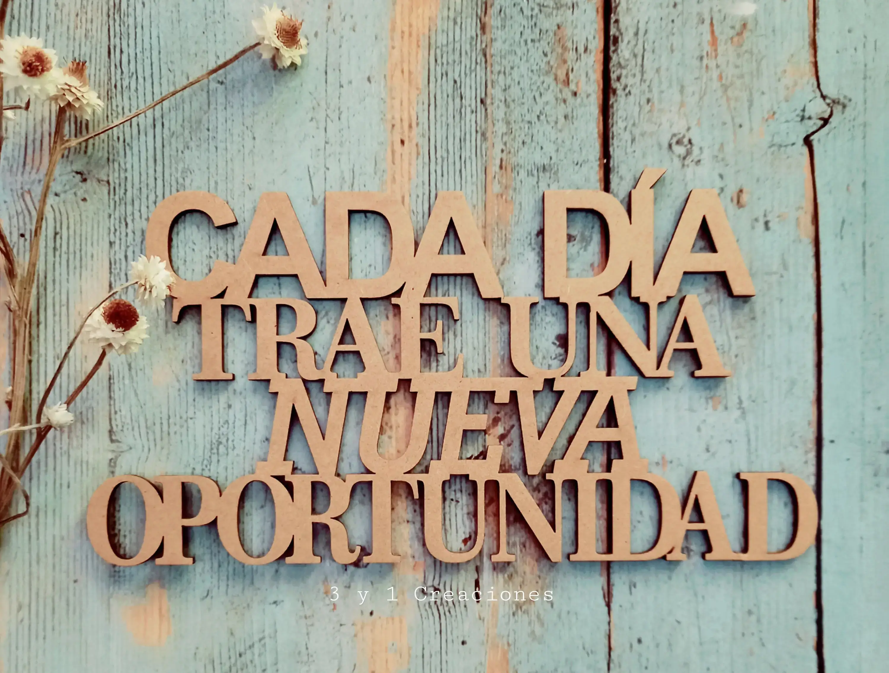 CADA DÍA 