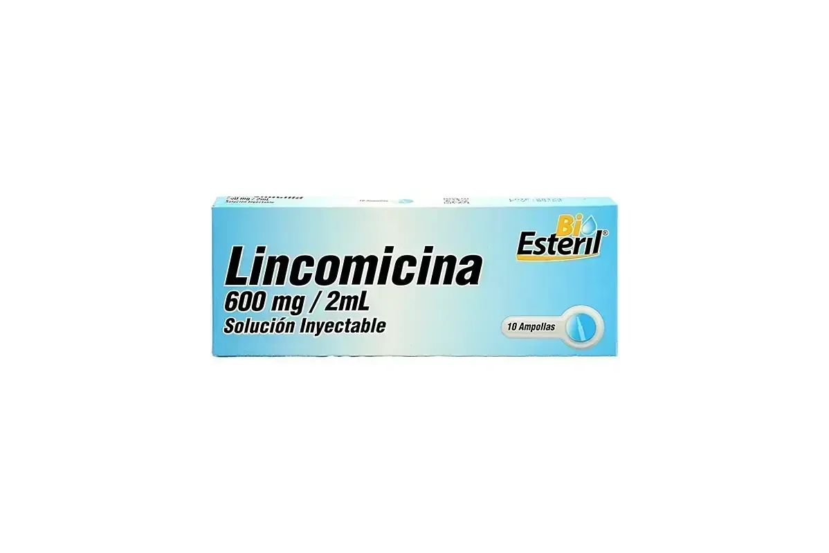 LINCOMICINA AMP X 10 BIOESTERIL