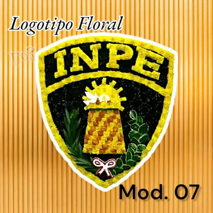 Mod. 07