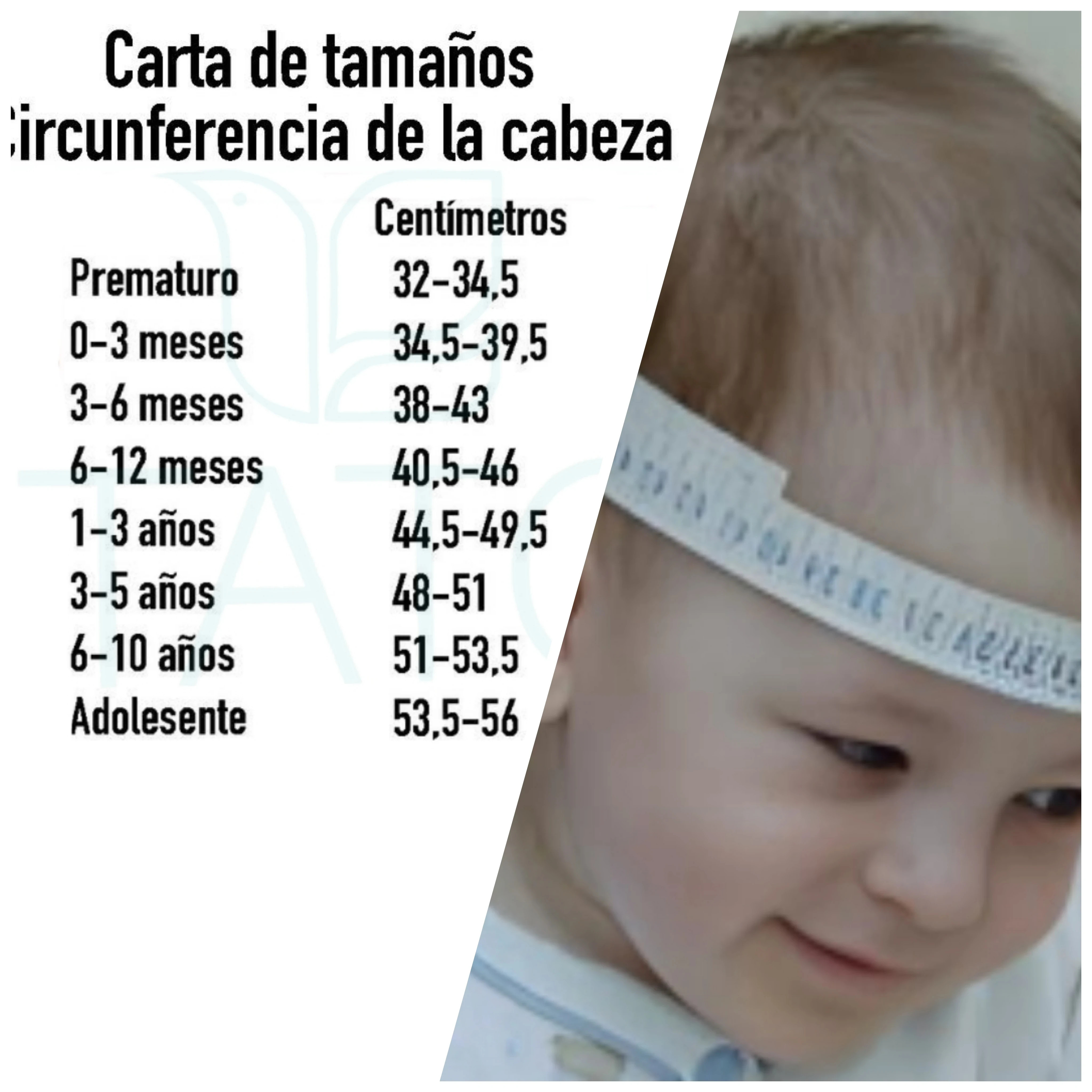 MEDIDA CABEZA