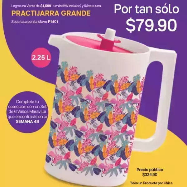 Práctijarra grande