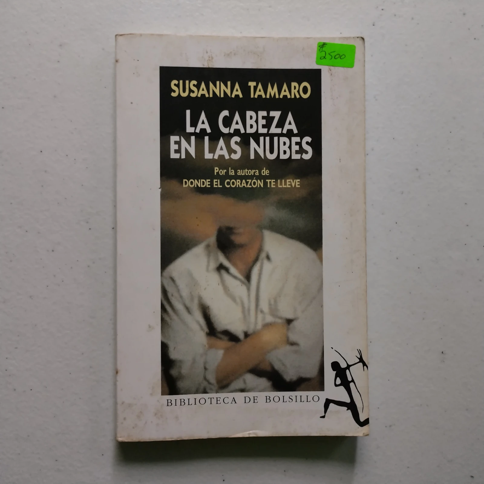 La cabeza en las nubes, Susanna Tamaro, usado 