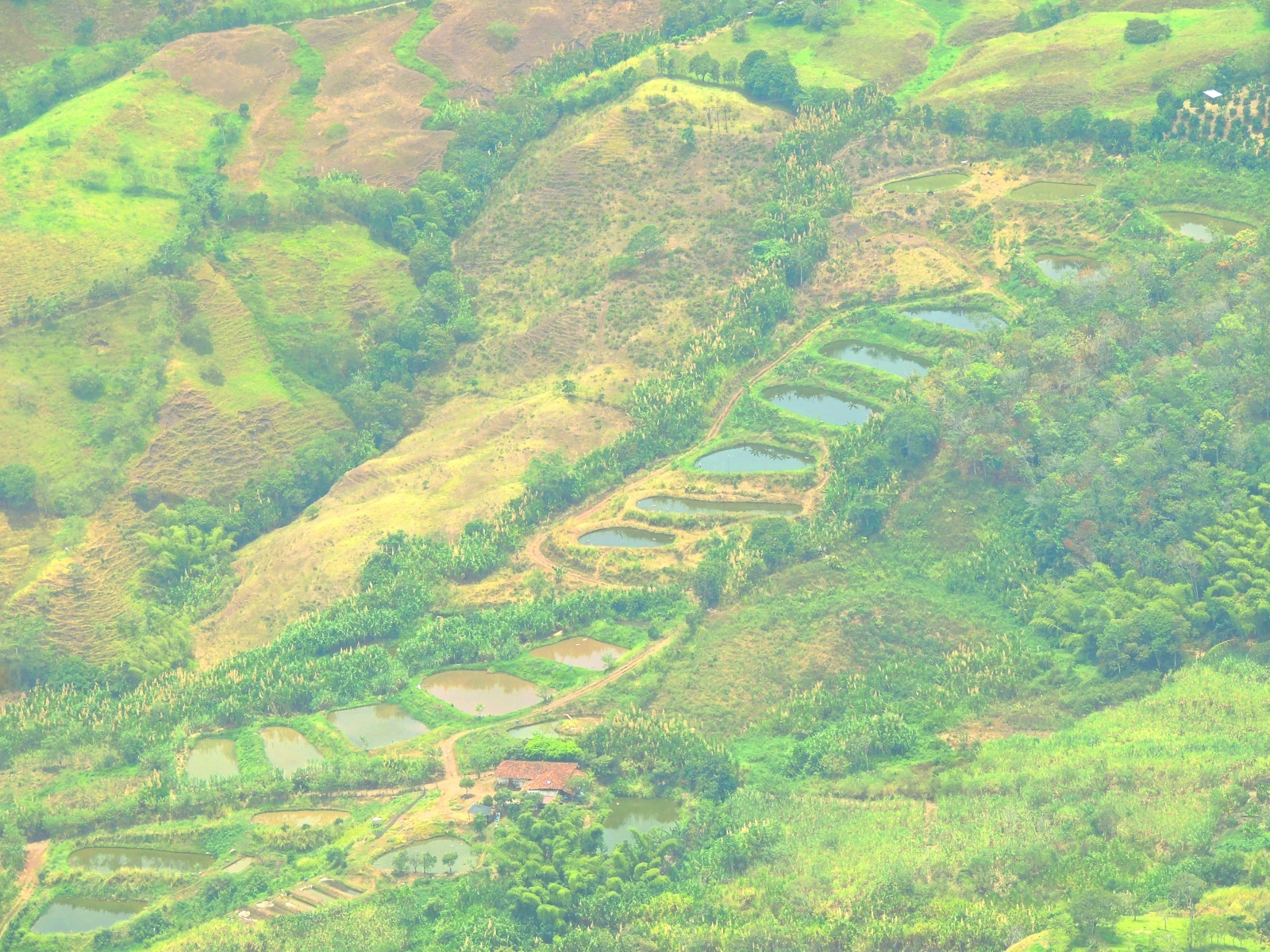 CERRO EL TACON Desde SUPIA CALDAS Y MARMATO. 4