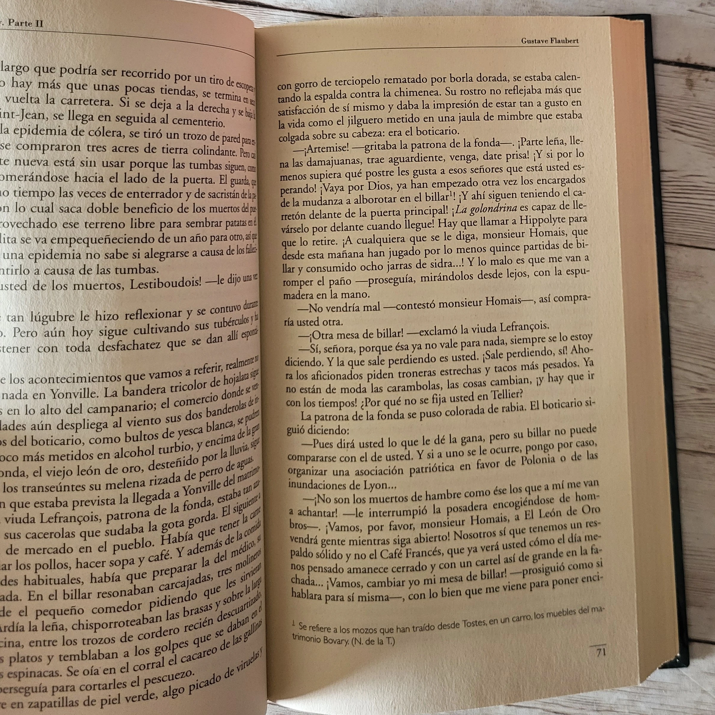 Madame Bovary / Gustave Flaubert / Romance  3