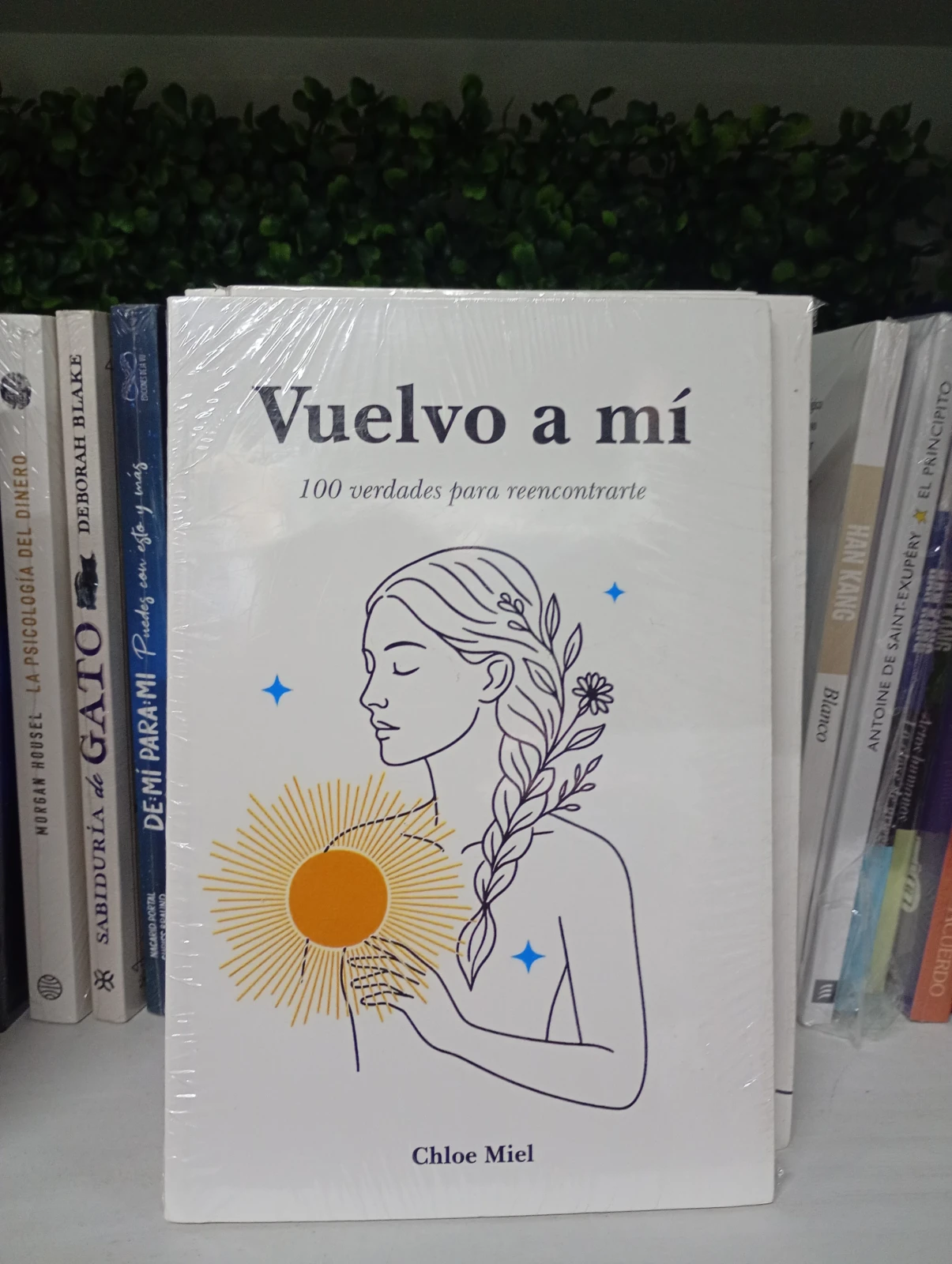 Vuelvo a mi