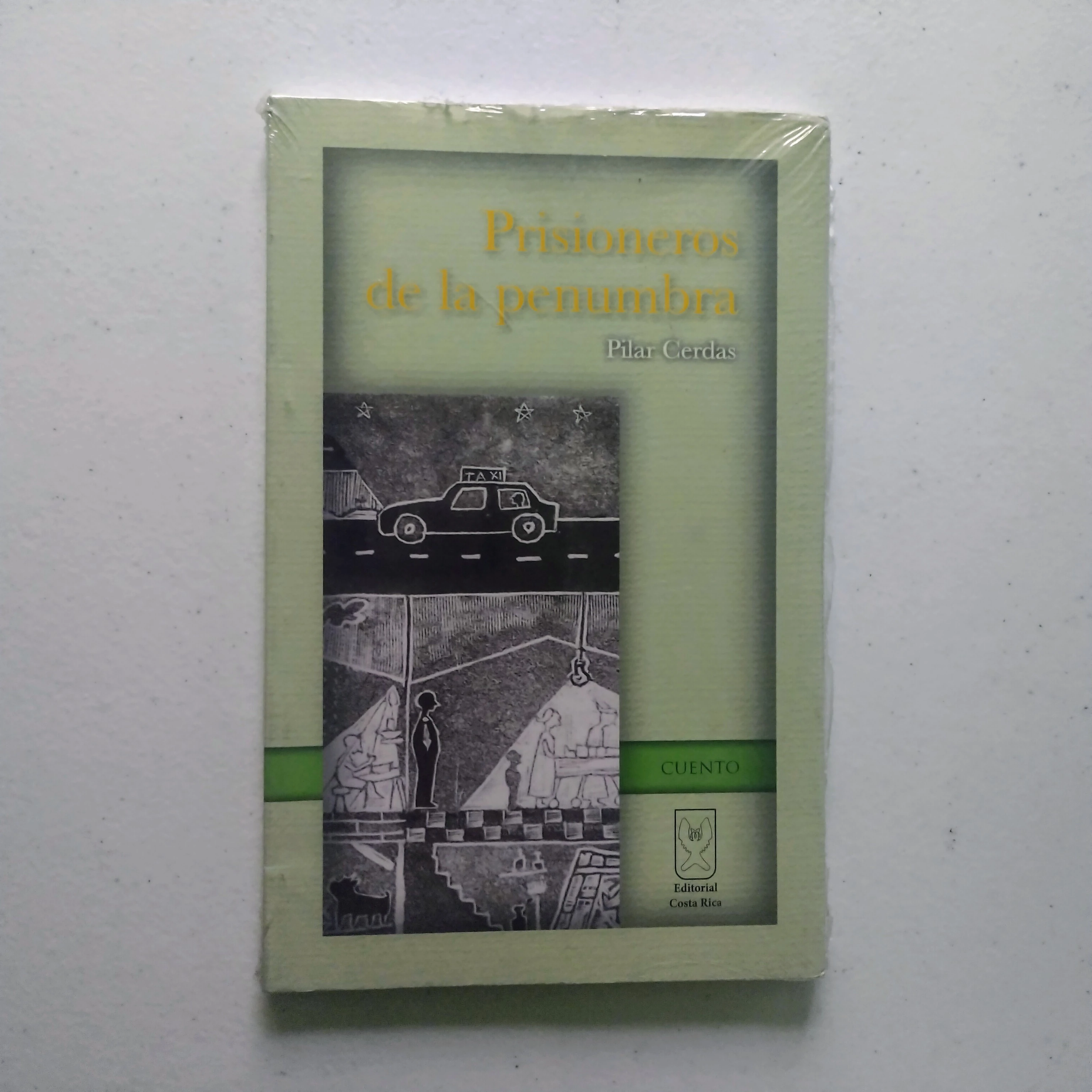 Prisioneros de la penumbra, Pilar Cerdad, nuevo
