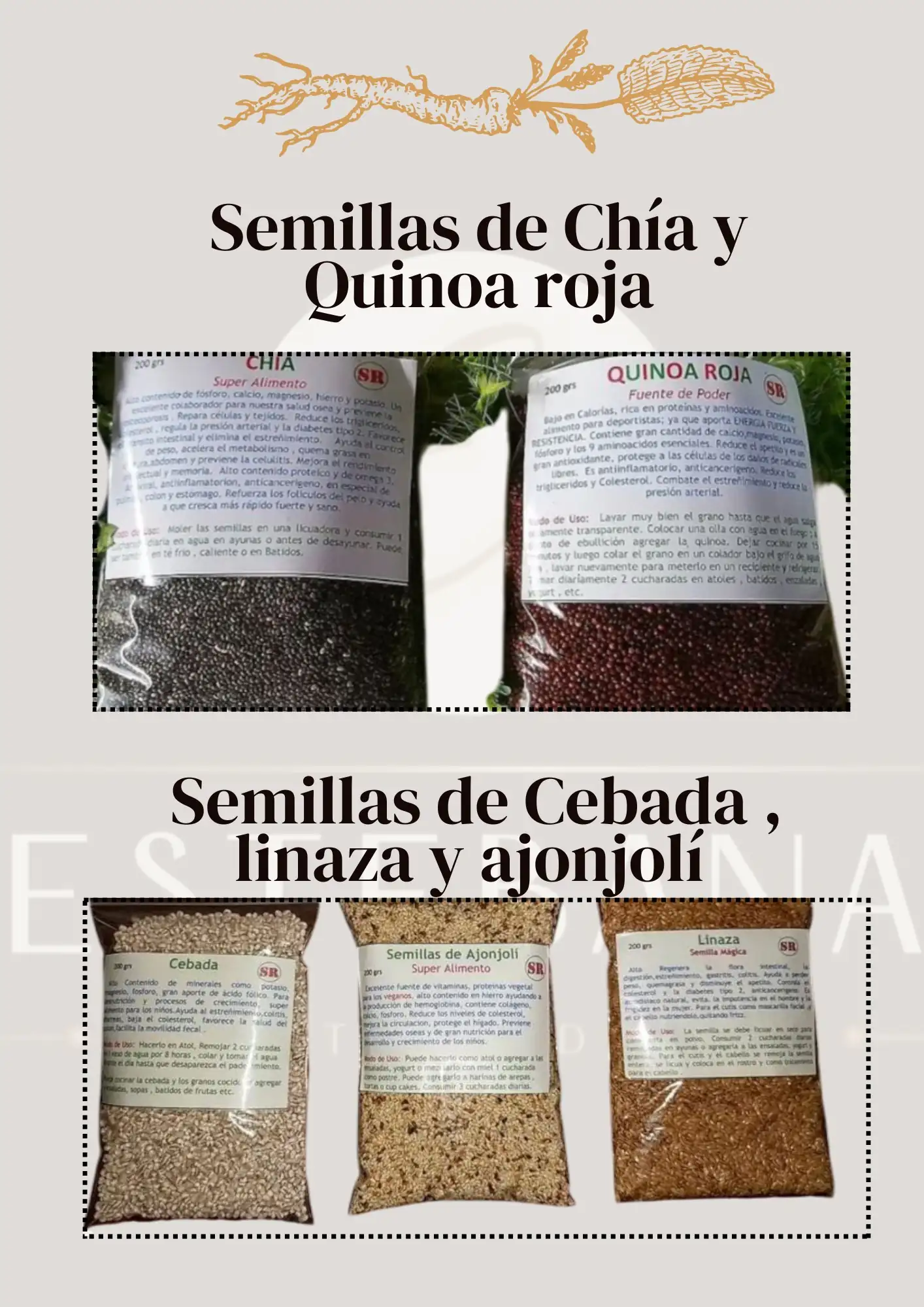 Semillas a granel 