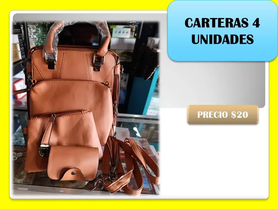 Set de carteras 