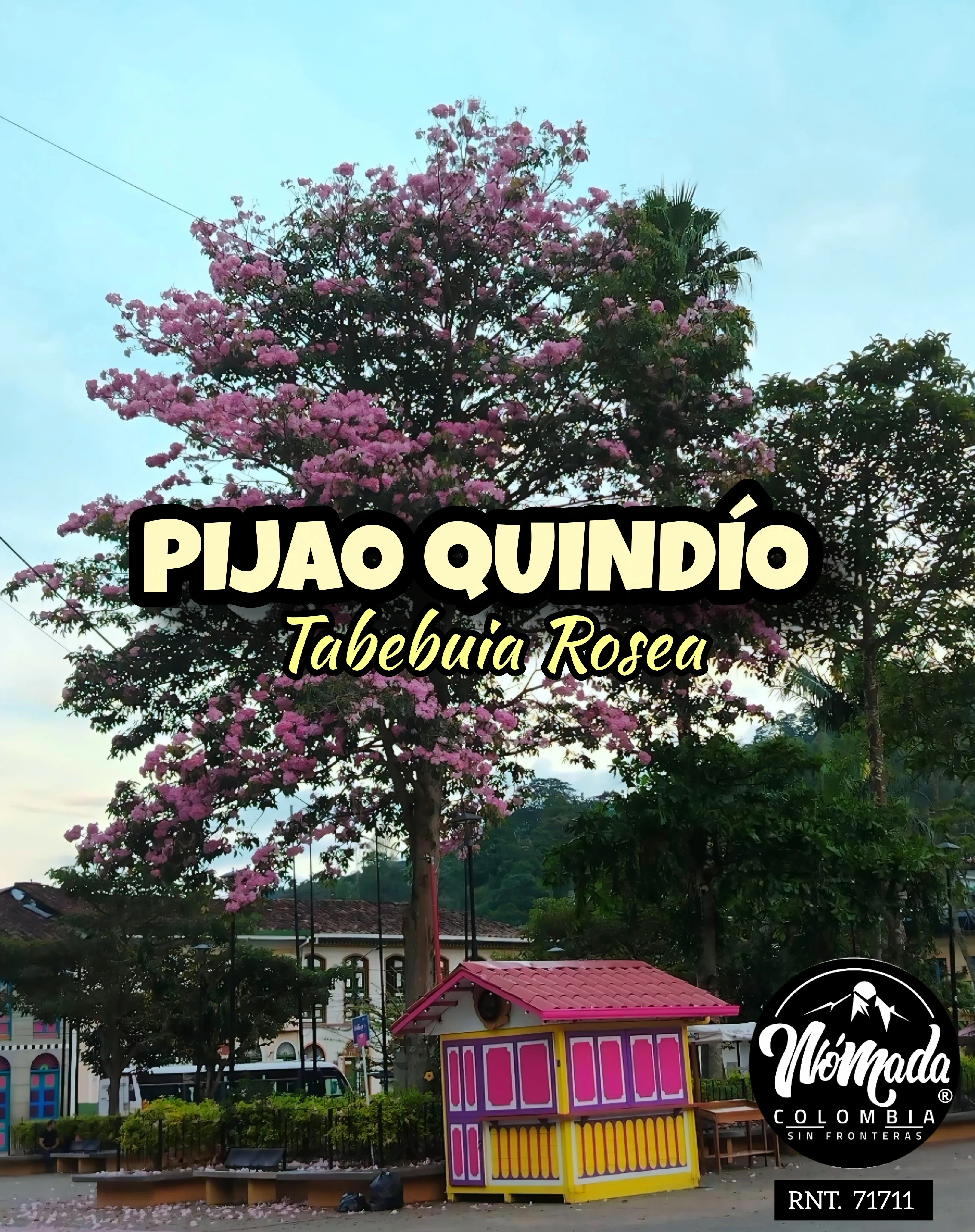 PARAMO DEL CHILÍ PIJAO QUINDÍO 2