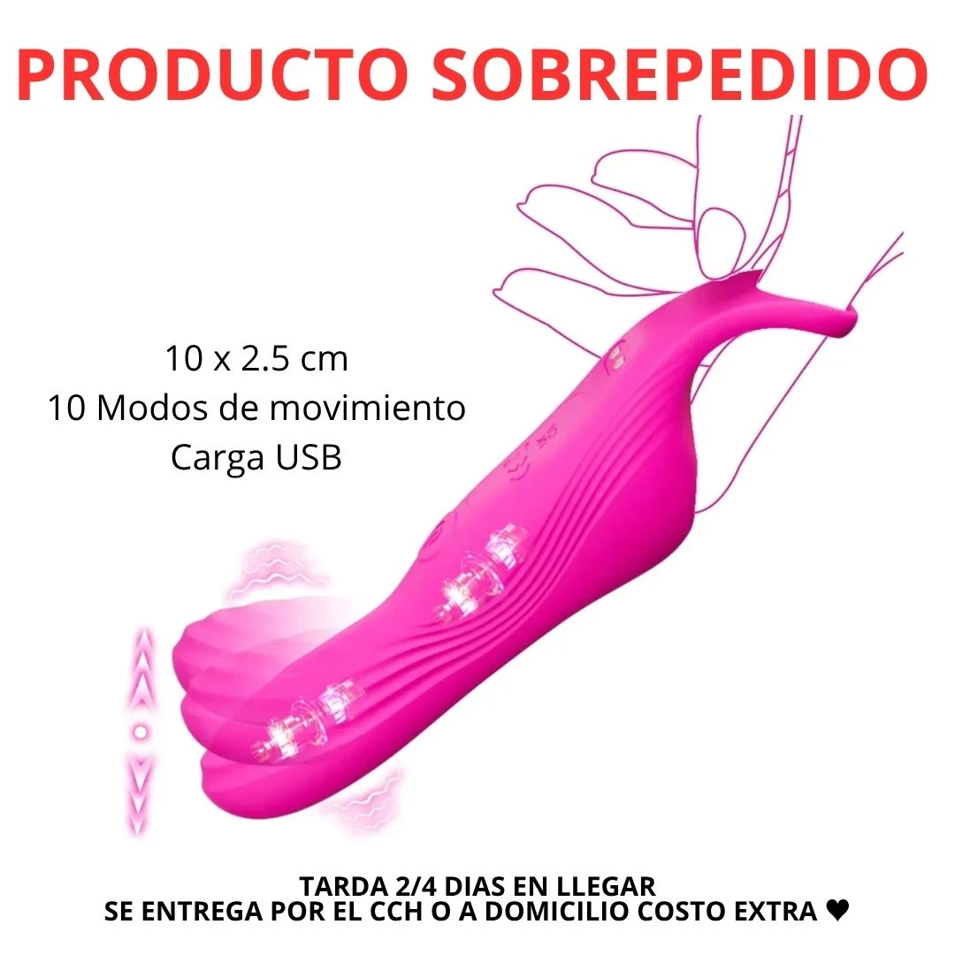 FUNDA PARA PUNTO G