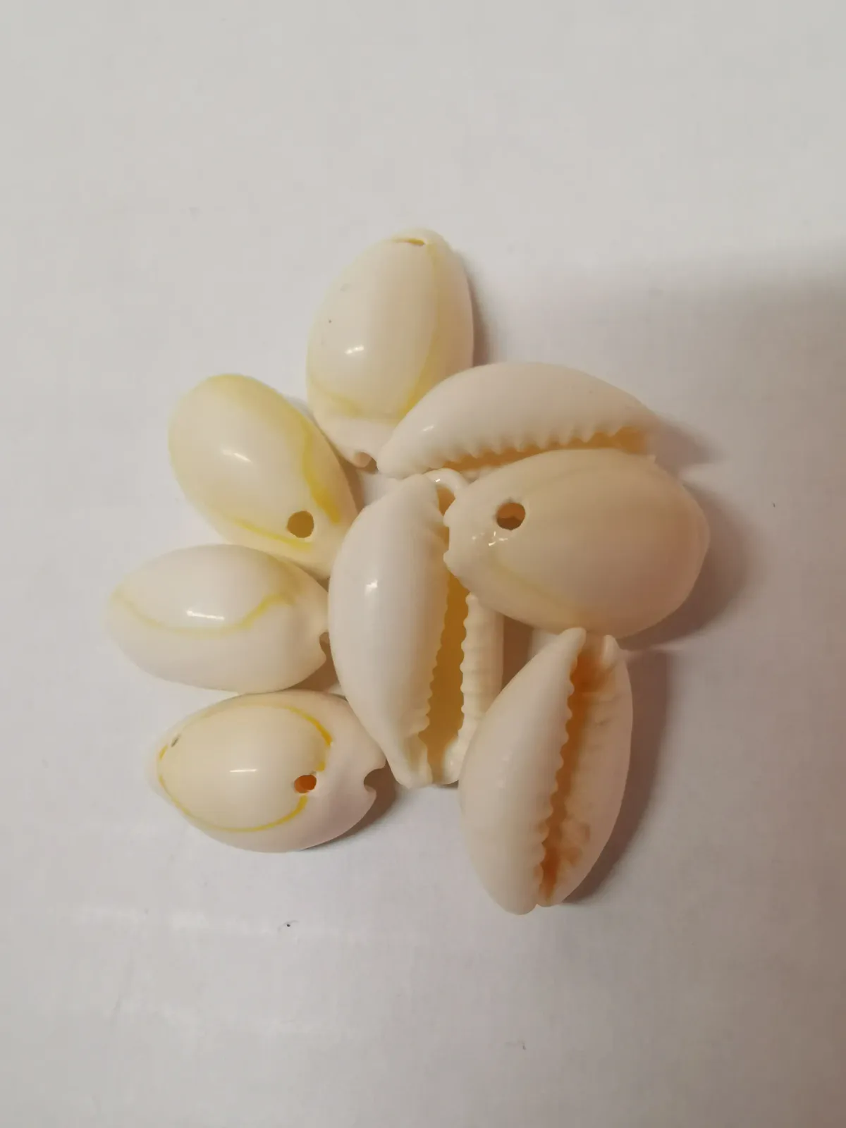Ref 02000-conchitas