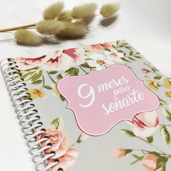 Agendas del embarazo