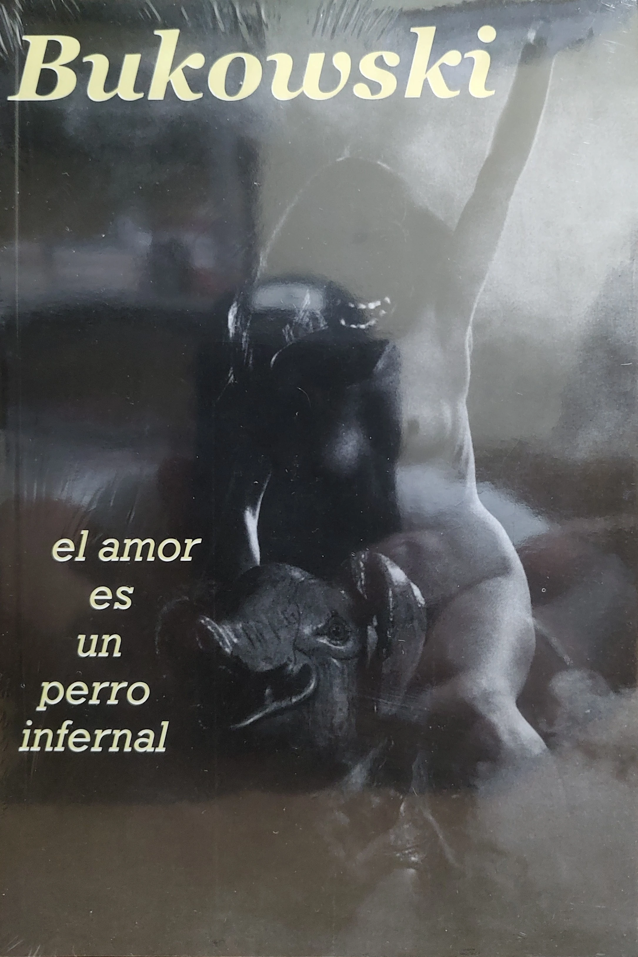 EL AMOR ES UN PERRO INFERNAL 