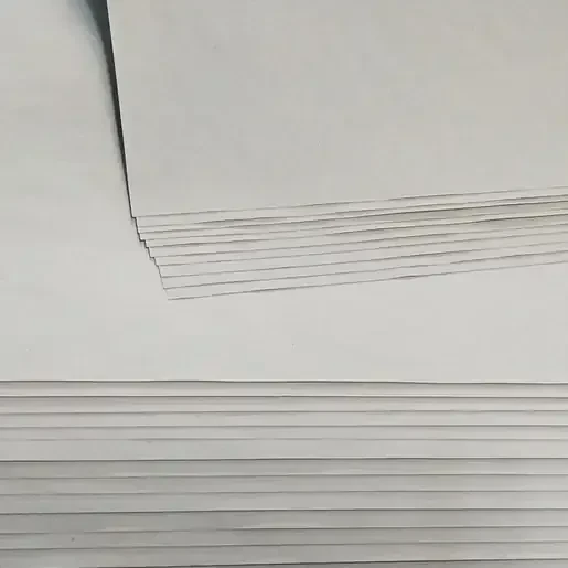 Hoja revolución bolsa con 100 tamaño carta  2