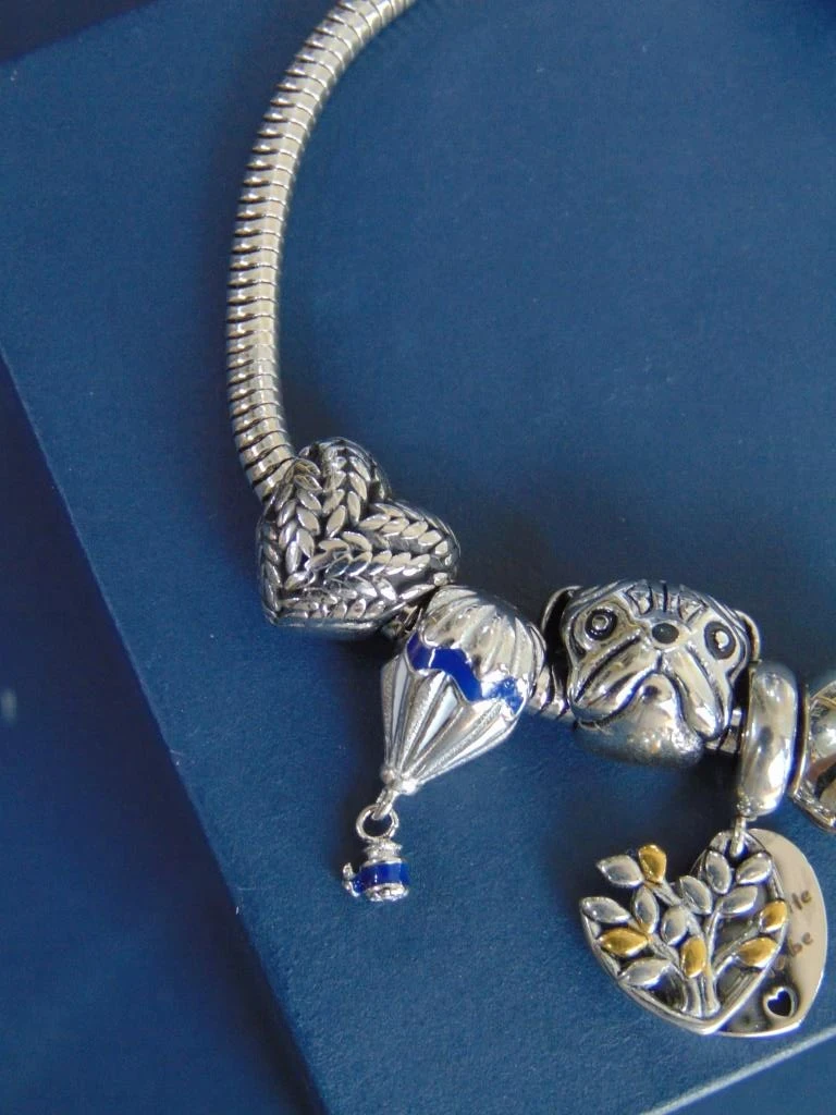 PULSERA ACERO PLATE TIPO PANDORA HOGAR 2