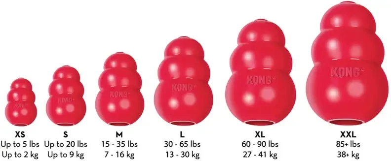 KONG Classic Large 2