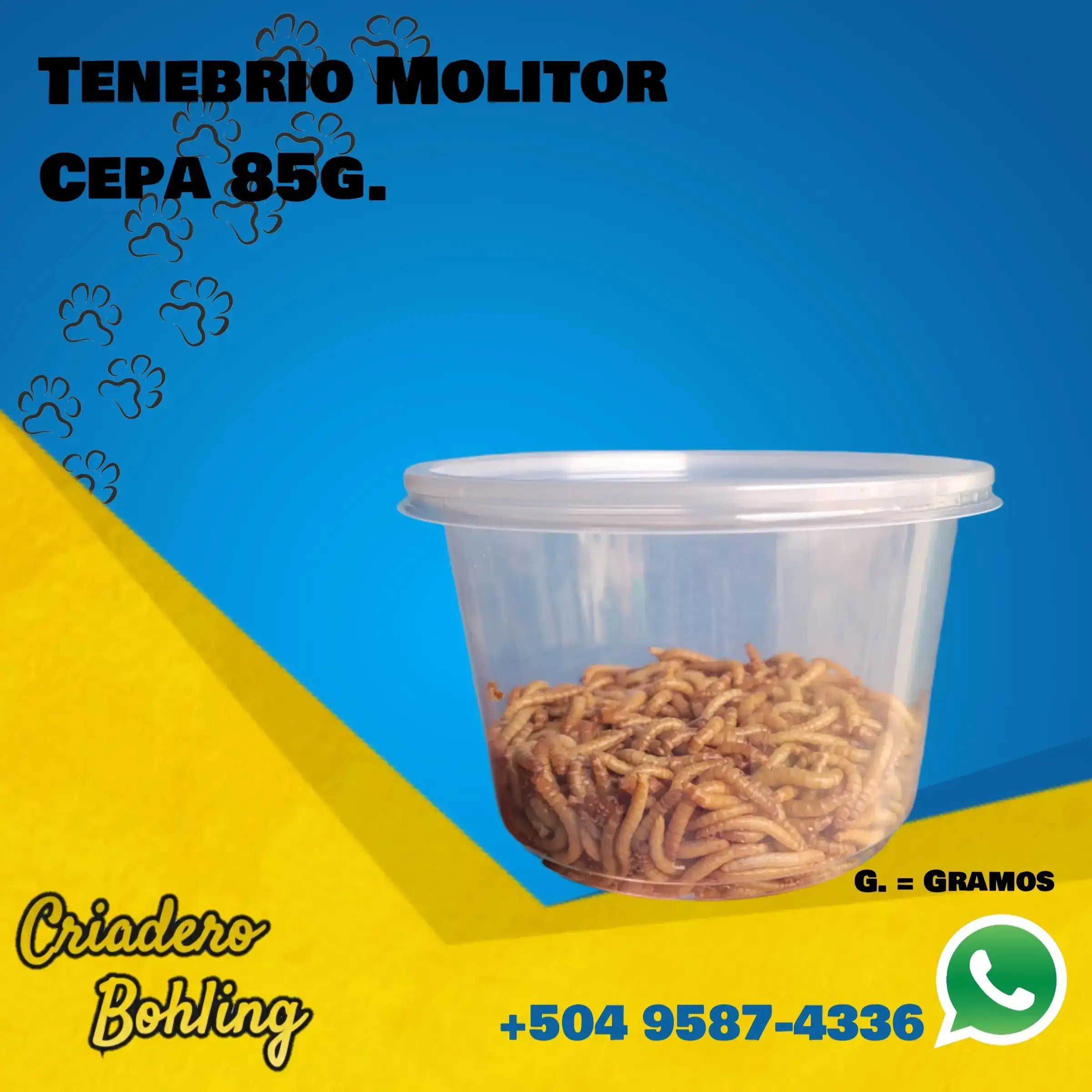 Cepa Tenebrios 85g.