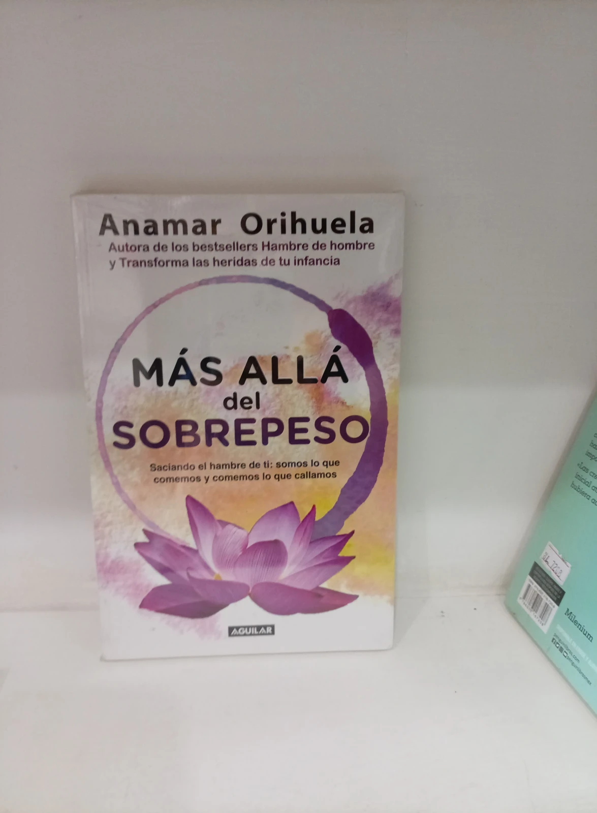 Mas alla del sobrepeso