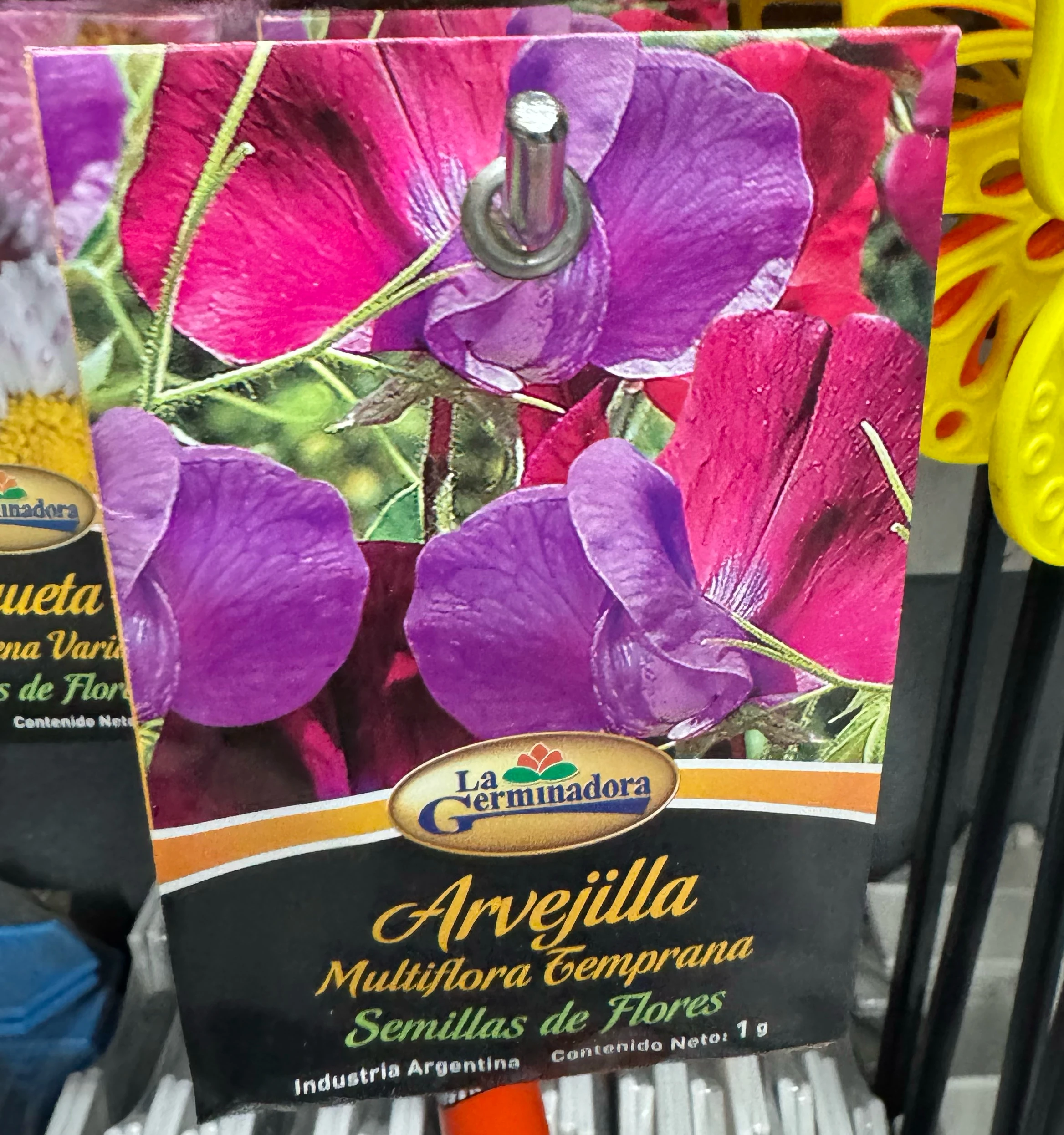 Avejilla semillas de flor 