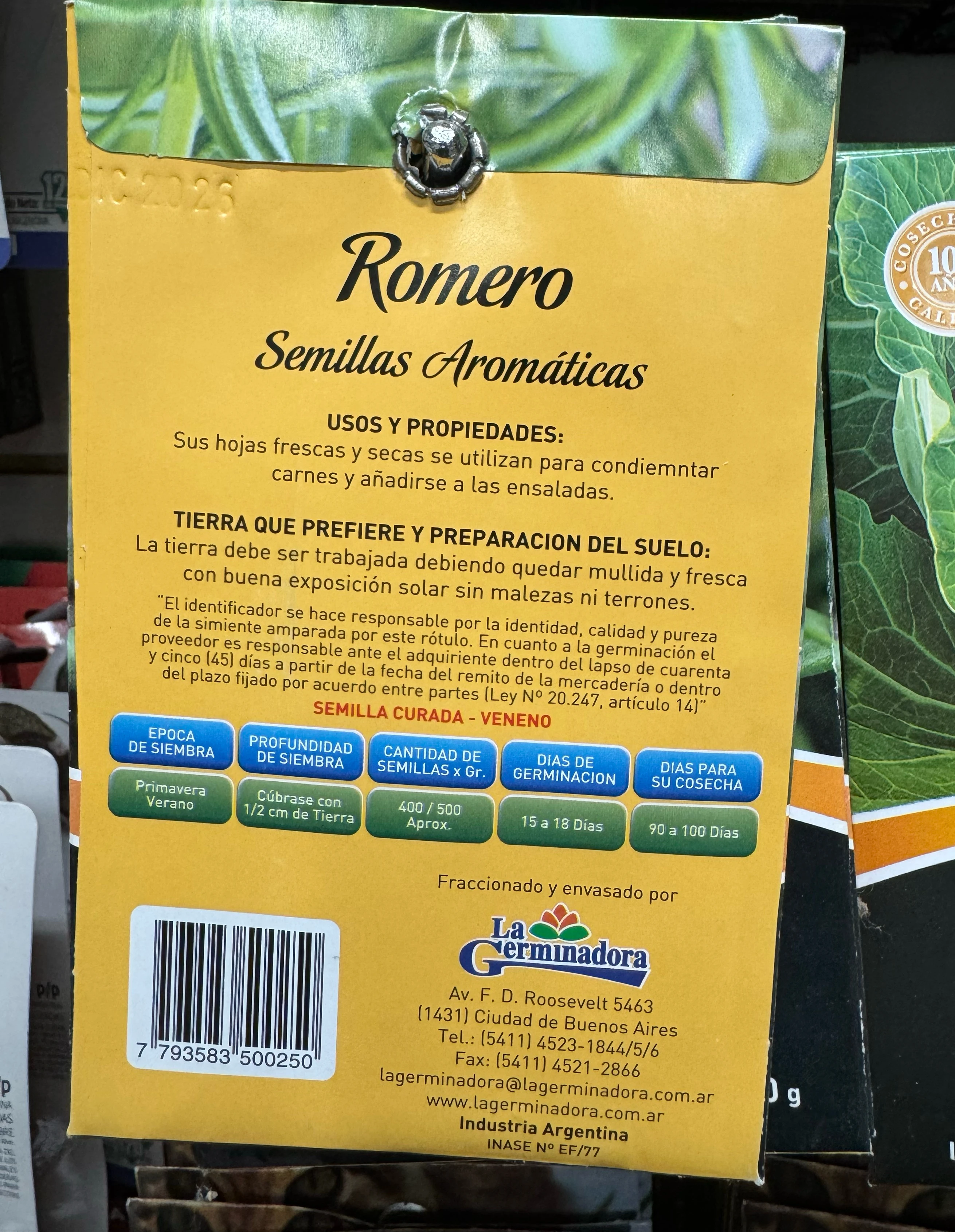 Semillas de Romero  2