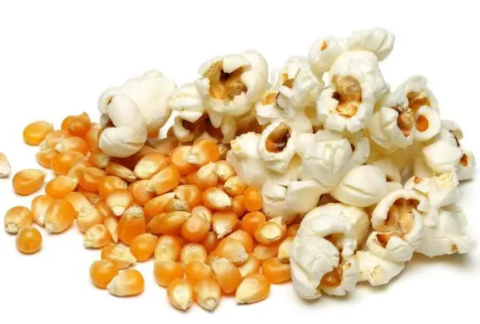 MAIZ DE PALOMITAS