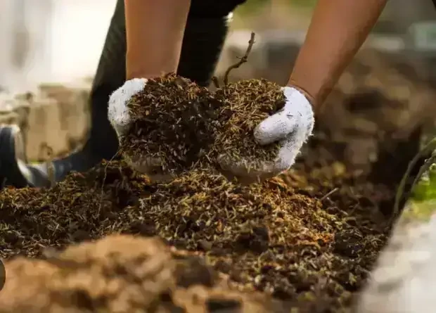 Compost 25 L / 12 kg. 2