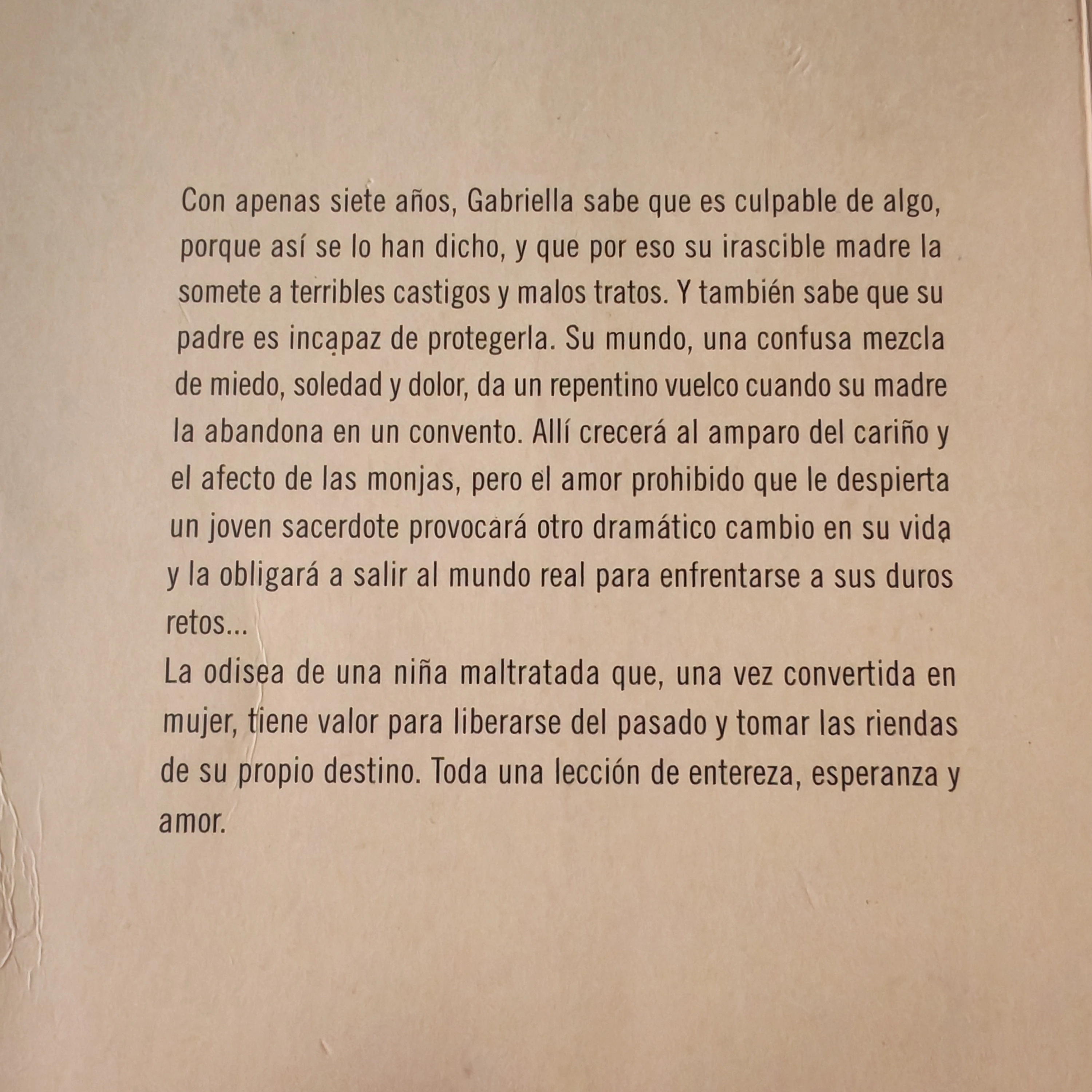 El largo Camino a casa, Danielle Steel, usado 2