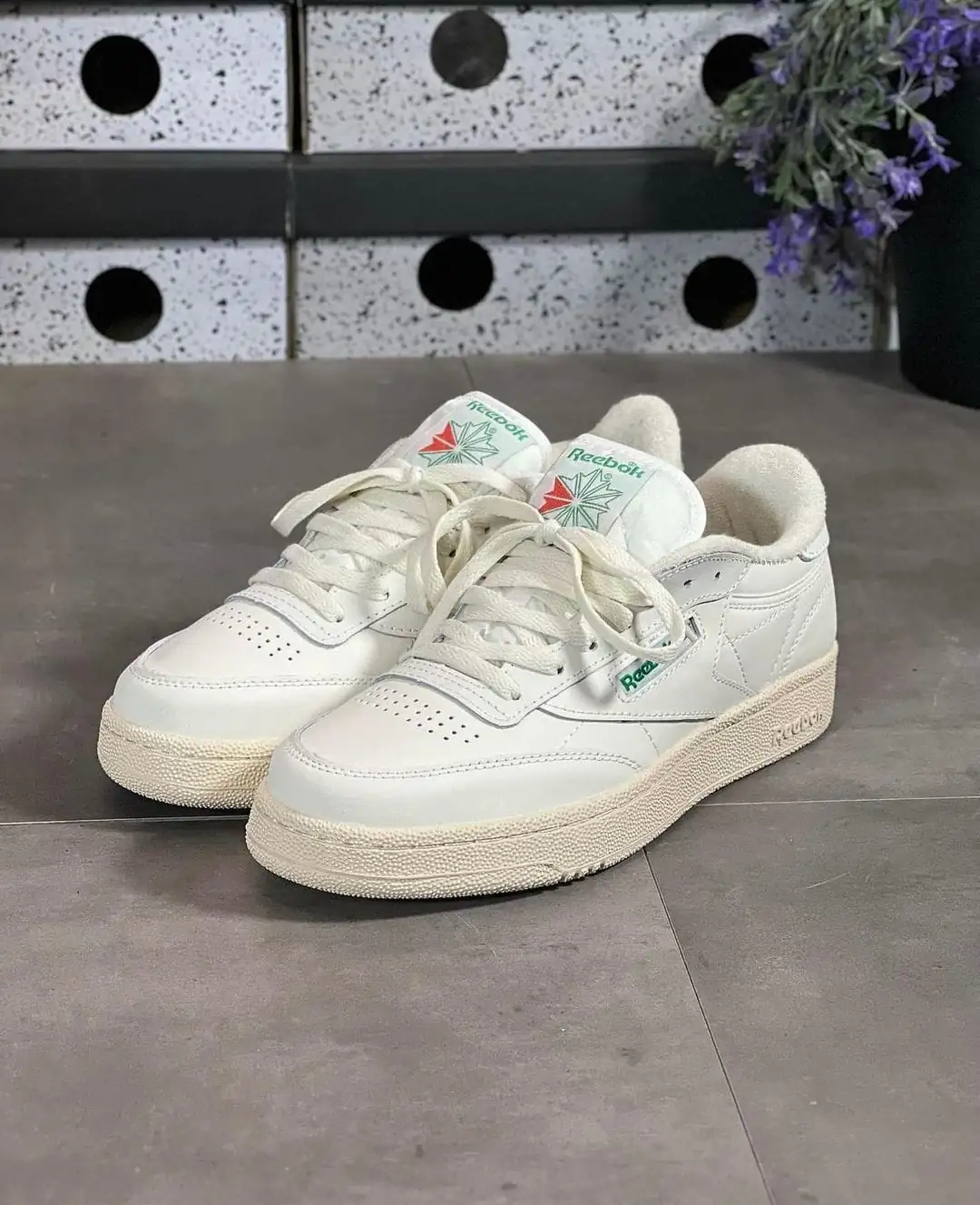 Modelos Nuevos  4