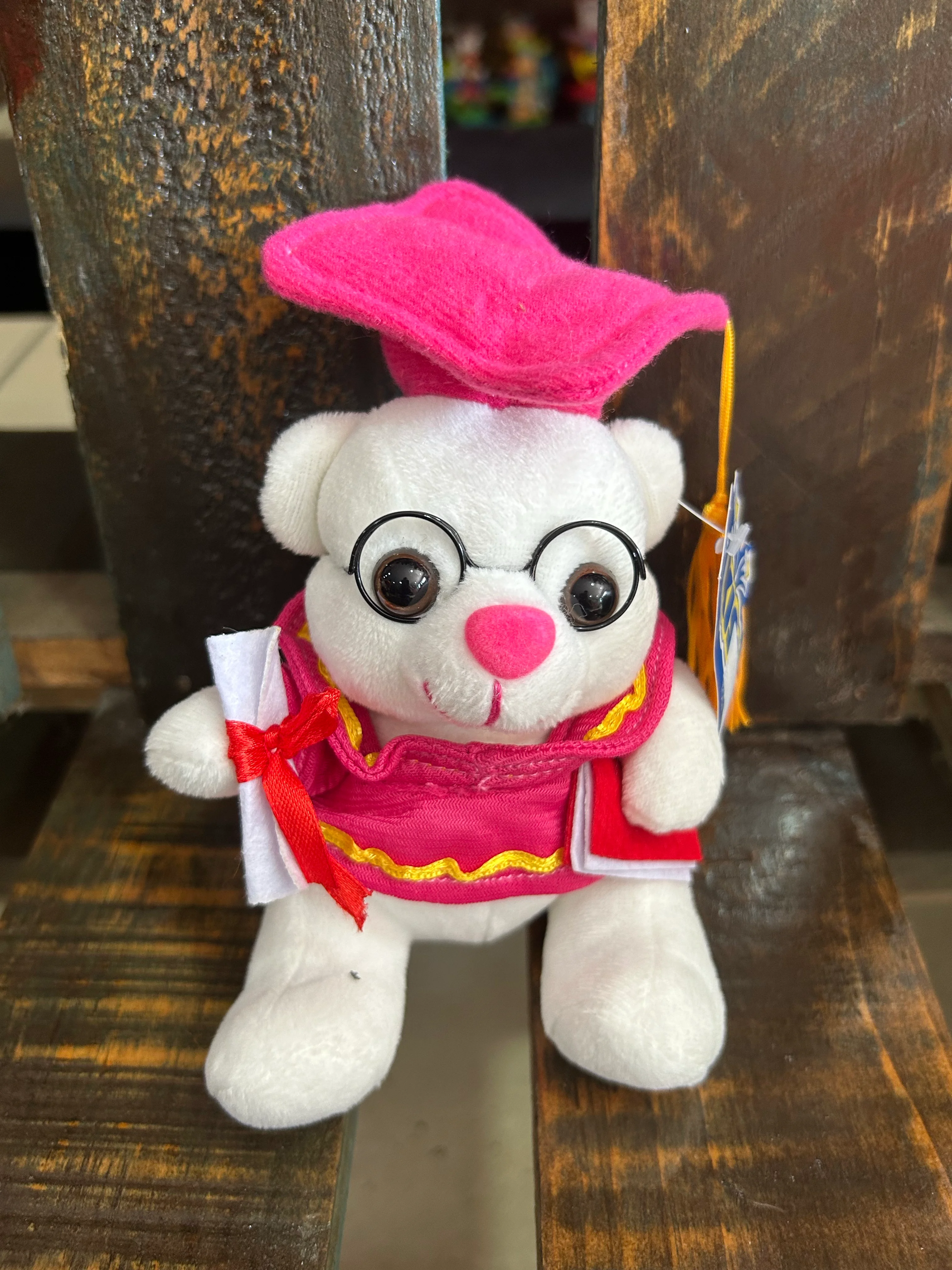 Peluche graduación 