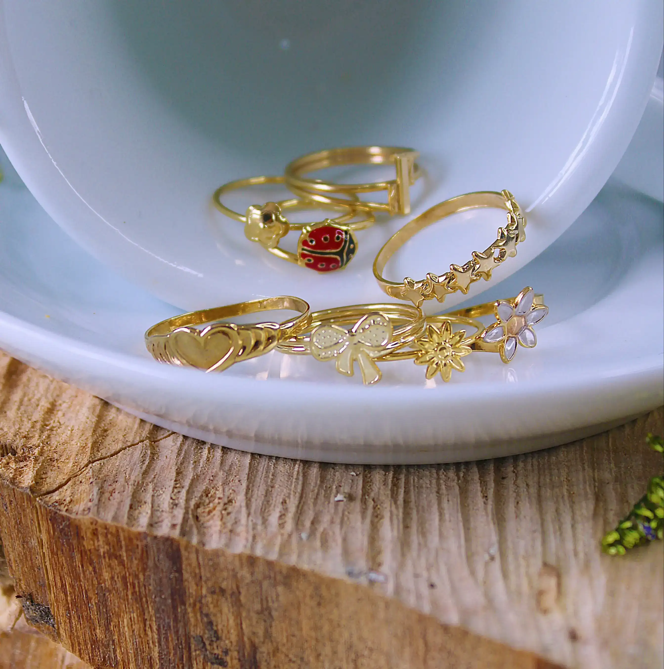 ANILLOS 