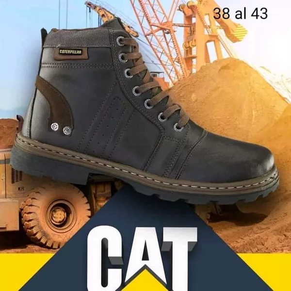 Caterpillar 2