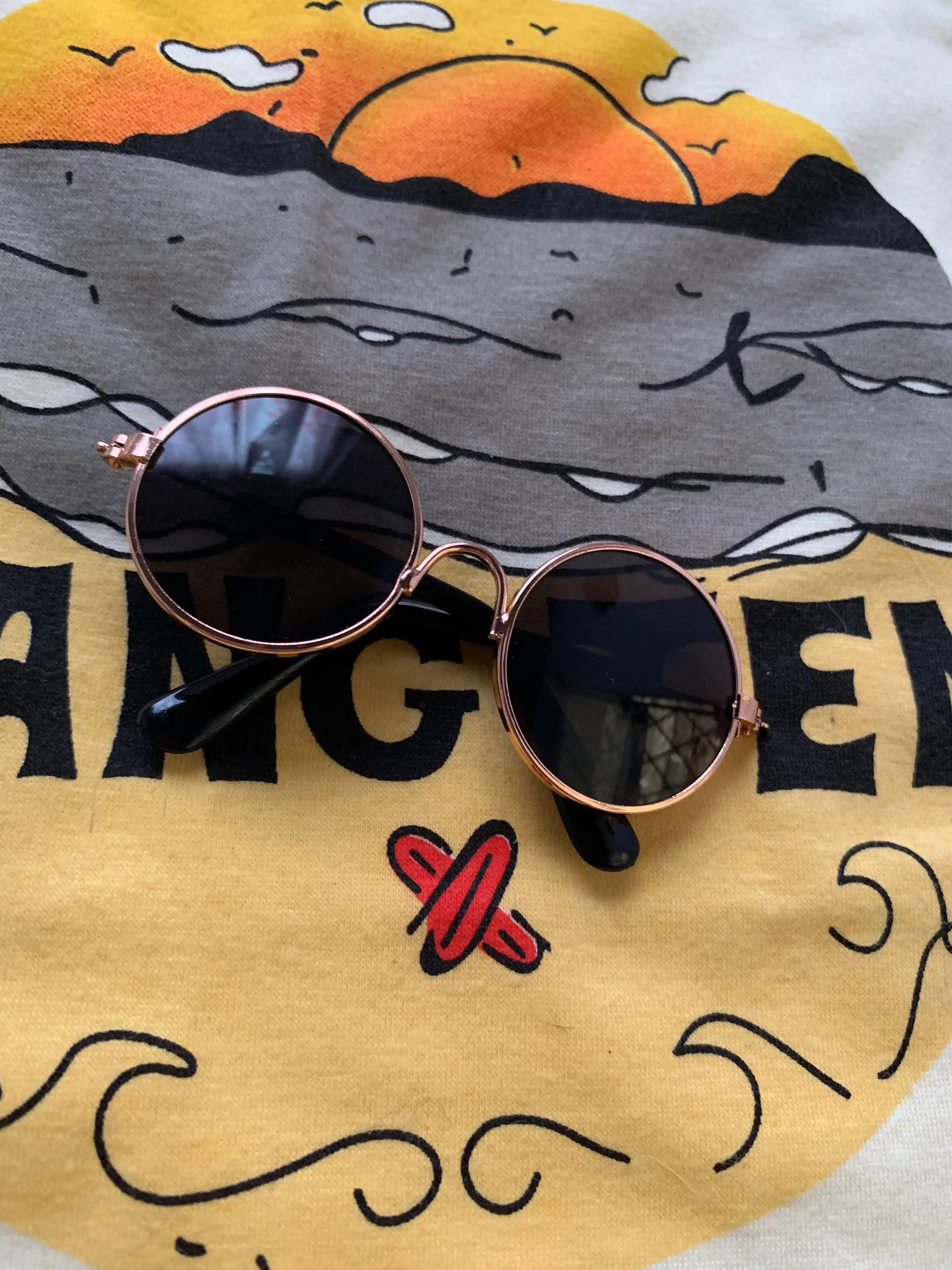 Gafas mascotas 2