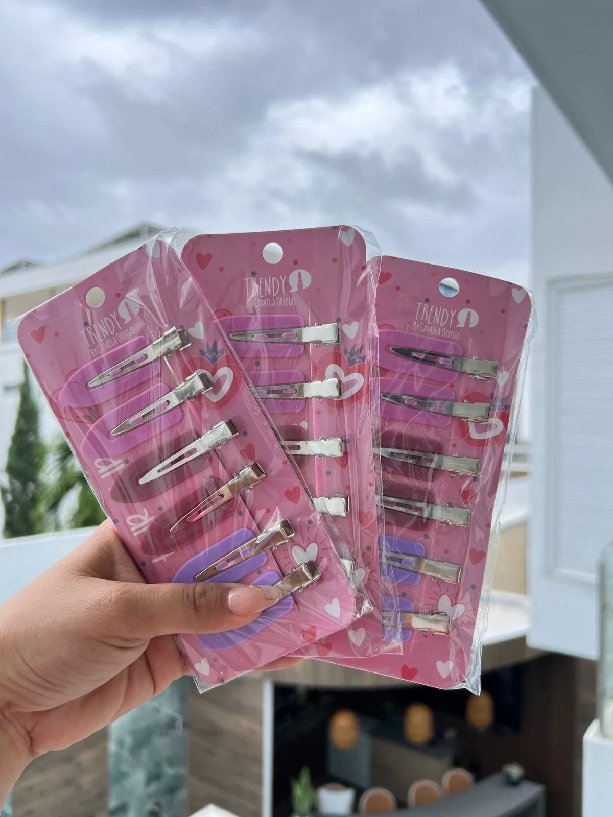 Hair Clips x6 Trendy 