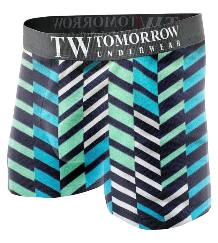 Boxer adulto masculino 2