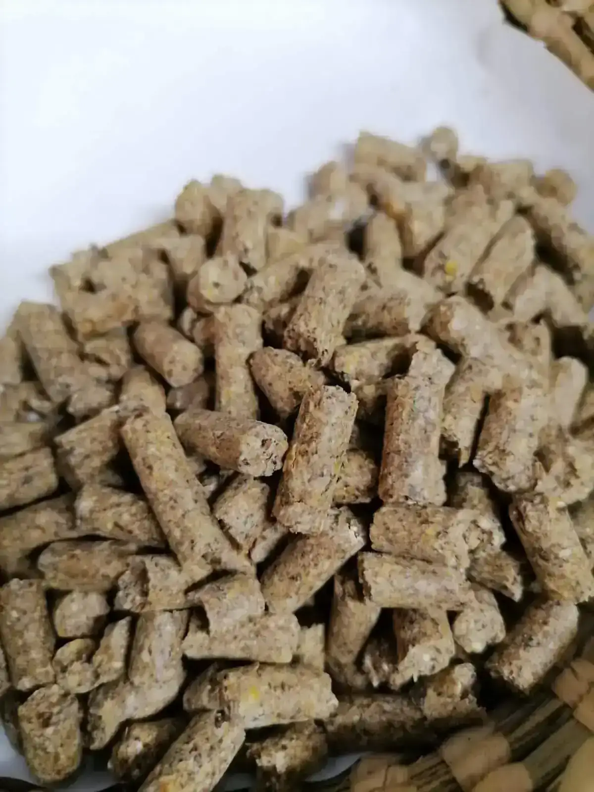 Cerdo Plus