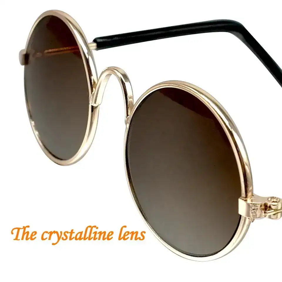 Lentes para mascota  3