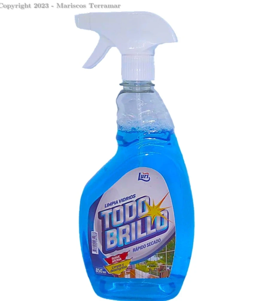 LIMPIA VIDRIOS T. BRILLO 950mñ 