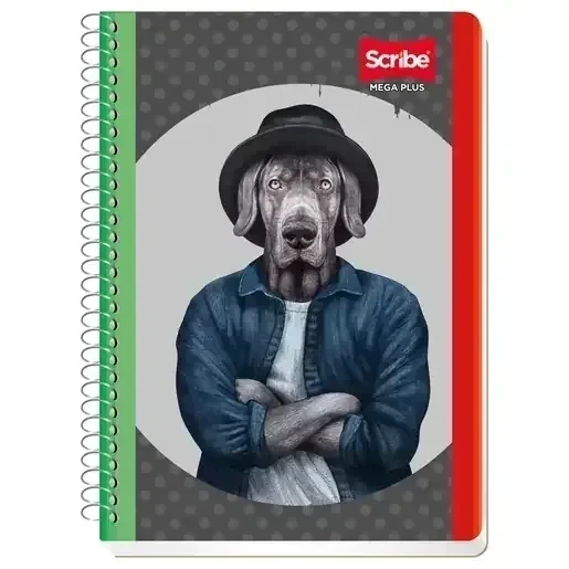 Cuaderno francesa c5 mega 100 hojas espiral  3