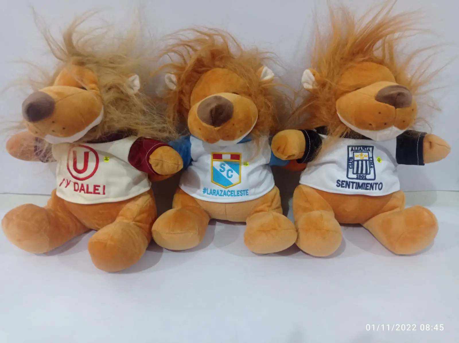 León deportivo con polo Med