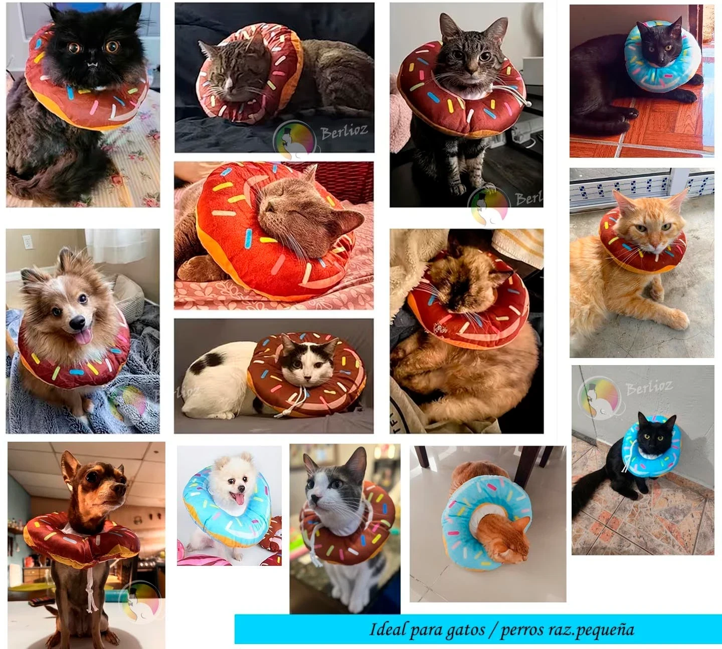 COLLAR ISABELINO T - S 10