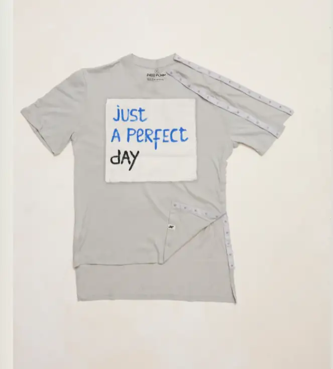 Playera perfect day 2