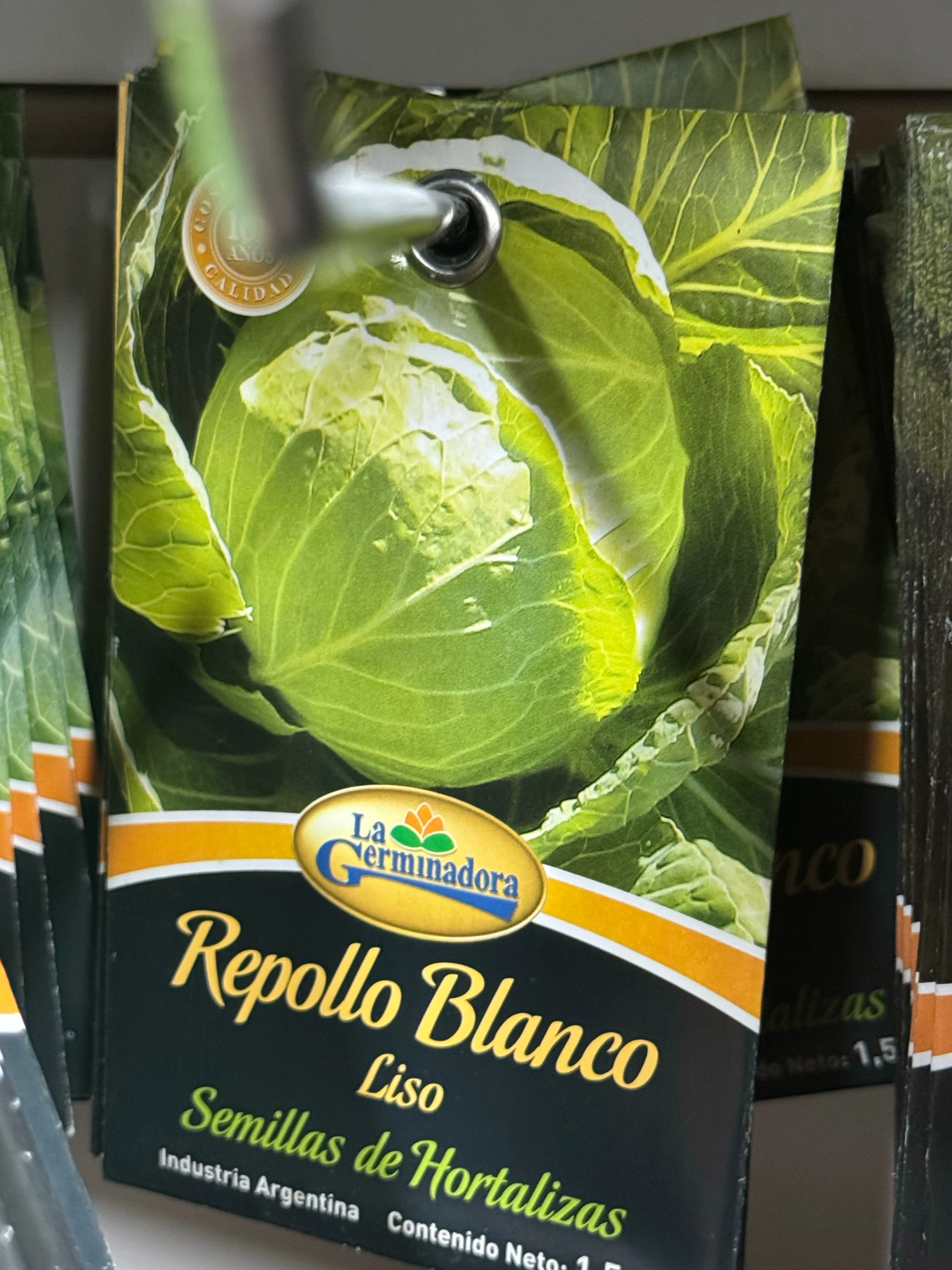 Repollo Blanco 